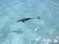 2002-04-13 Abacos, Bahamas